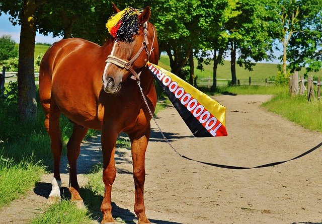 扑朔迷离 扑朔迷离