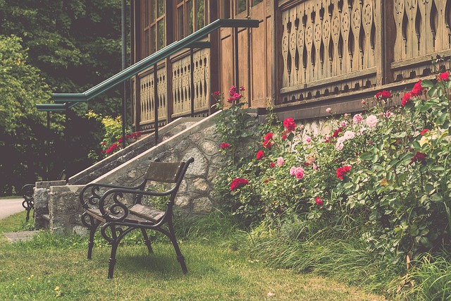 另一位核心 另一位核心