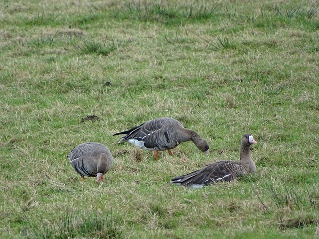 还是对自然 还是对自然