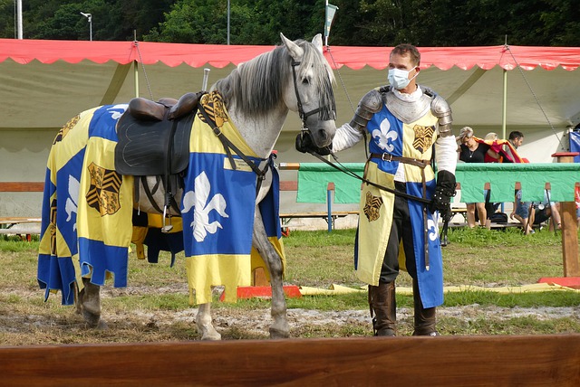 作为一名即 作为一名即