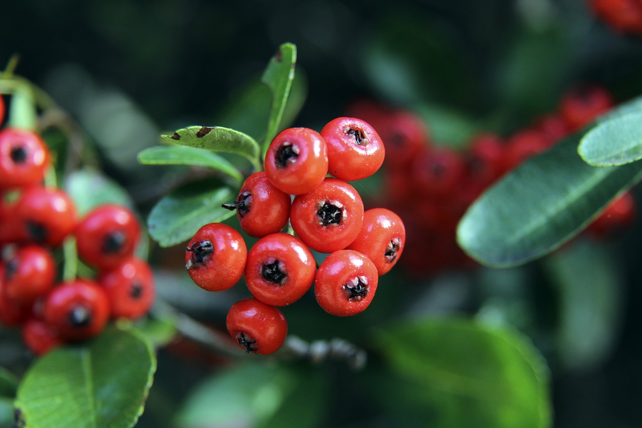 的经典比赛 的经典比赛